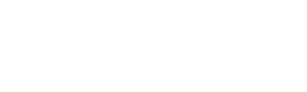 Logo Facile Salire